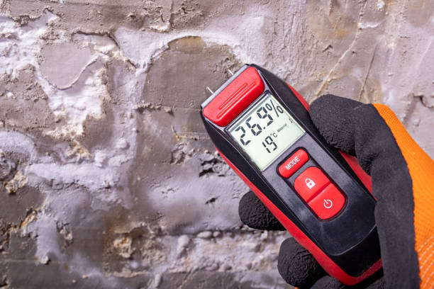 Best Mold Damage Repair  in Pleasureville, PA