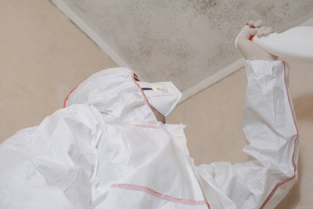 Professional Mold Removal in Pleasureville, PA
